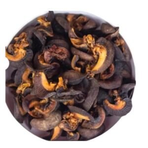 Home oven dried snail (igbin) from cameroon 15 medium pieces